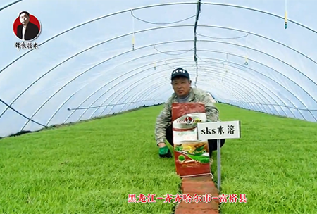 齊齊哈爾市-富?？h